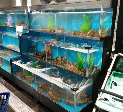 水產魚缸